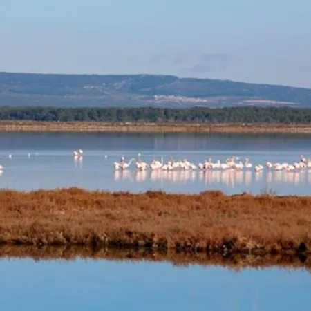 Sete-vue Mer-#monabridelaplage